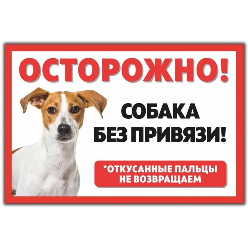 Смешная предупреждающая табличка о бродячей собаке, юмористическая табличка на забор