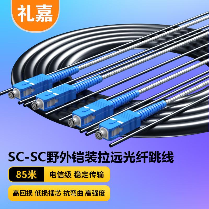 LIJIA Outdoor Armored SC-SC Single-Mode Dual-Core Fiber Optic Patch Cable