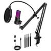FDUCE Gaming USB RGB Condenser Microphone with Boom Arm for PS5 Microphone, Mute, Gain, Monitoring, Streaming, Podcasts, Twitch, YouTube, PC,