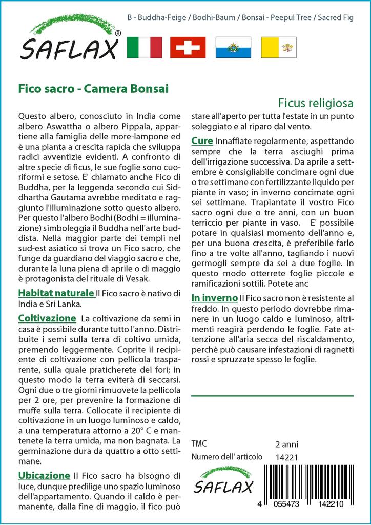 SAFLAX Garden in the Bag - Бонсай - Дерево Пипул / Священный инжир - 100 семян - С субстратом в подходящем пакете - Ficus religiosa