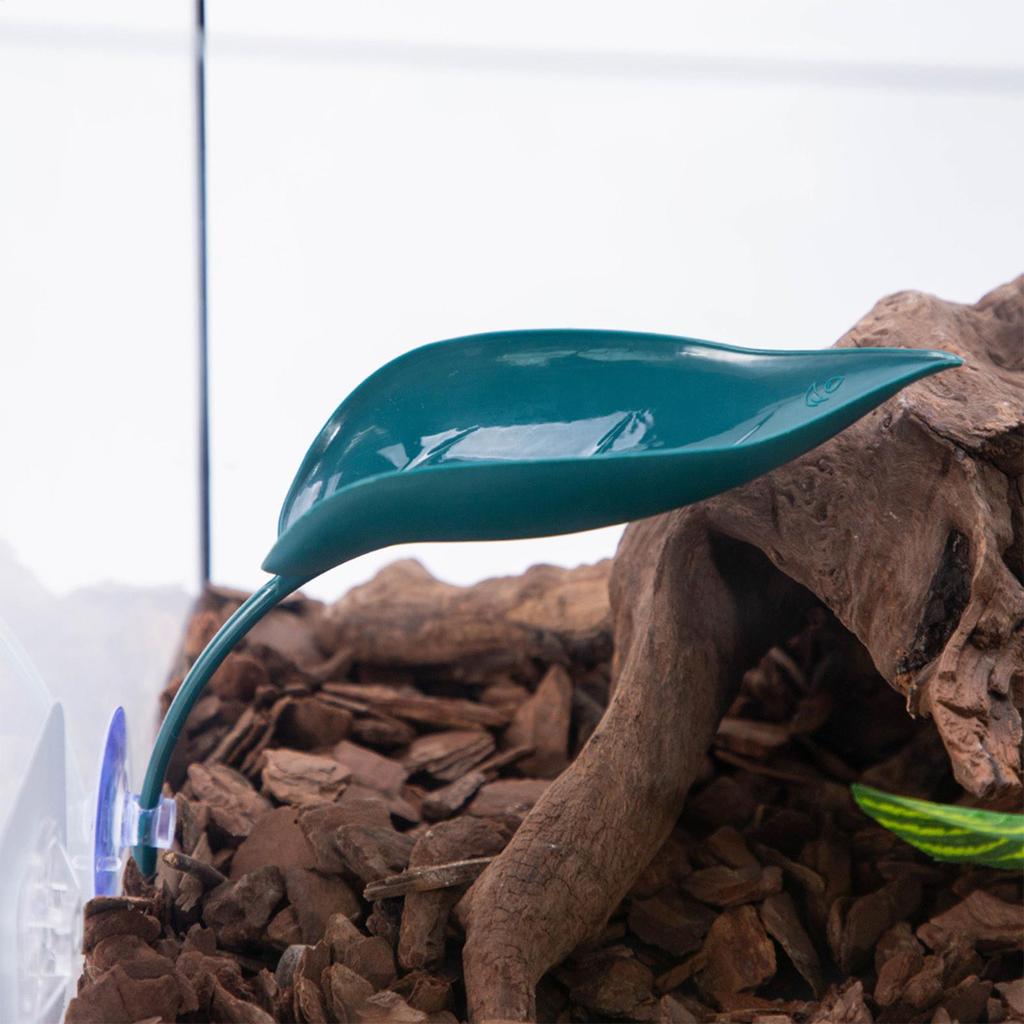 3 шт. Лист для купания черепах, платформа для купания бородатой агамы в форме листа с присосками, аксессуары для террариума для древесных лягушек, украшение для террариума