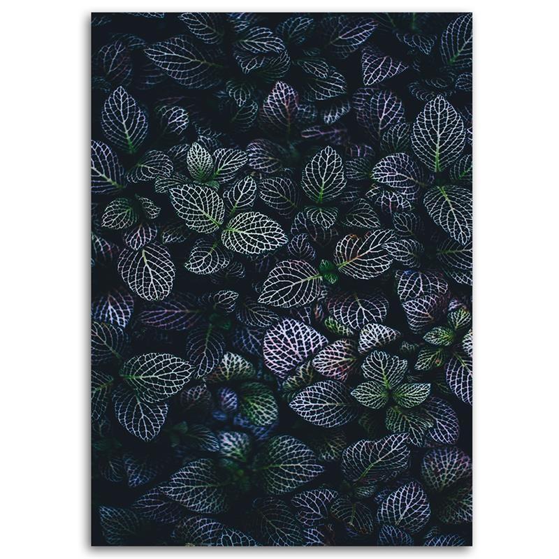 Canvas print, Leaves of plants nature