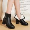 Ankle Boots for Women 2024 New Winter Plush Warm Side Zipper Round Toe High Heel Lady Short Boots Casual Mom Shoes Botas Mujer