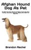 Книга Afghan Hound Dog As Pet : The Best Pet Owner Manual On Afghan Hound Dog Care, Training, Personality, Grooming, Feeding And Health For Beginners