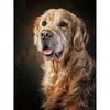 Полный 5D Diy Алмазная картина Золотой ретривер Алмазная вышивка Полный вышивка крестом Домашний декор Подарок ручной работы