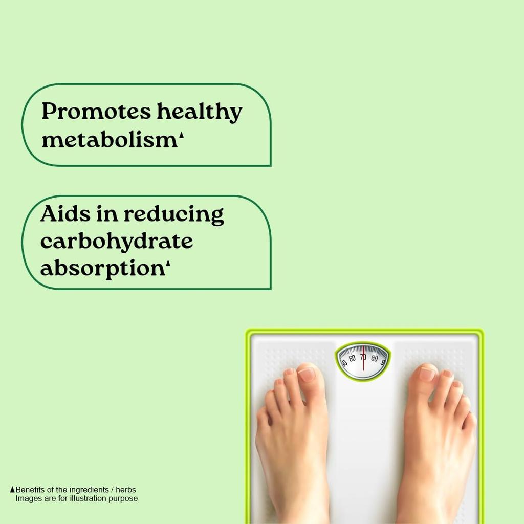 ORGANIC INDIA Баланс Веса 60 Вегетарианских Капсул Для Здорового Метаболизма И Сбалансированной Энергии В Формуле На Растительной Основе