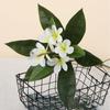 Real Touch Artificial Plumeria Flowers DIY with Green Leaves Simulation Frangipani Branch Multicolor Photo Props