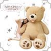 [USED] Extra-large teddy bear teddy bear, 130cm, dark brown, interior decoration, 1767