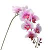 Eco-friendly Artificial Flower Realistic Great Ornamental Simulation Phalaenopsis