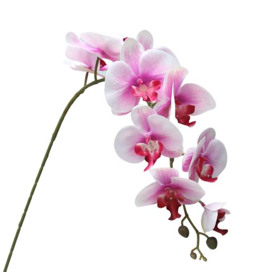 Eco-friendly Artificial Flower Realistic Great Ornamental Simulation Phalaenopsis