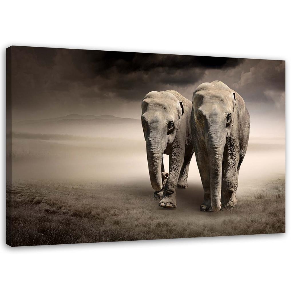 Canvas print, Elephants in the desert
