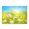 Abstract Daisy Art Large Carpet Living Room Floor Mat Colorful Pattern