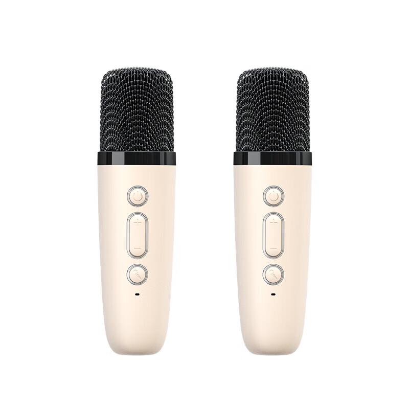 Newmine DP99 Wireless Bluetooth KTV Microphone Speaker Set