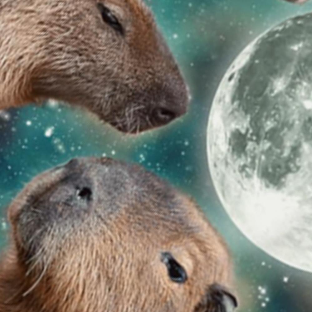 3 Capybara Moon Weird Howling T Shirt Funny Cute Animal Unisex Classic Short Sleeves Tee Shirt Fashion Casual Streetwear Tops
