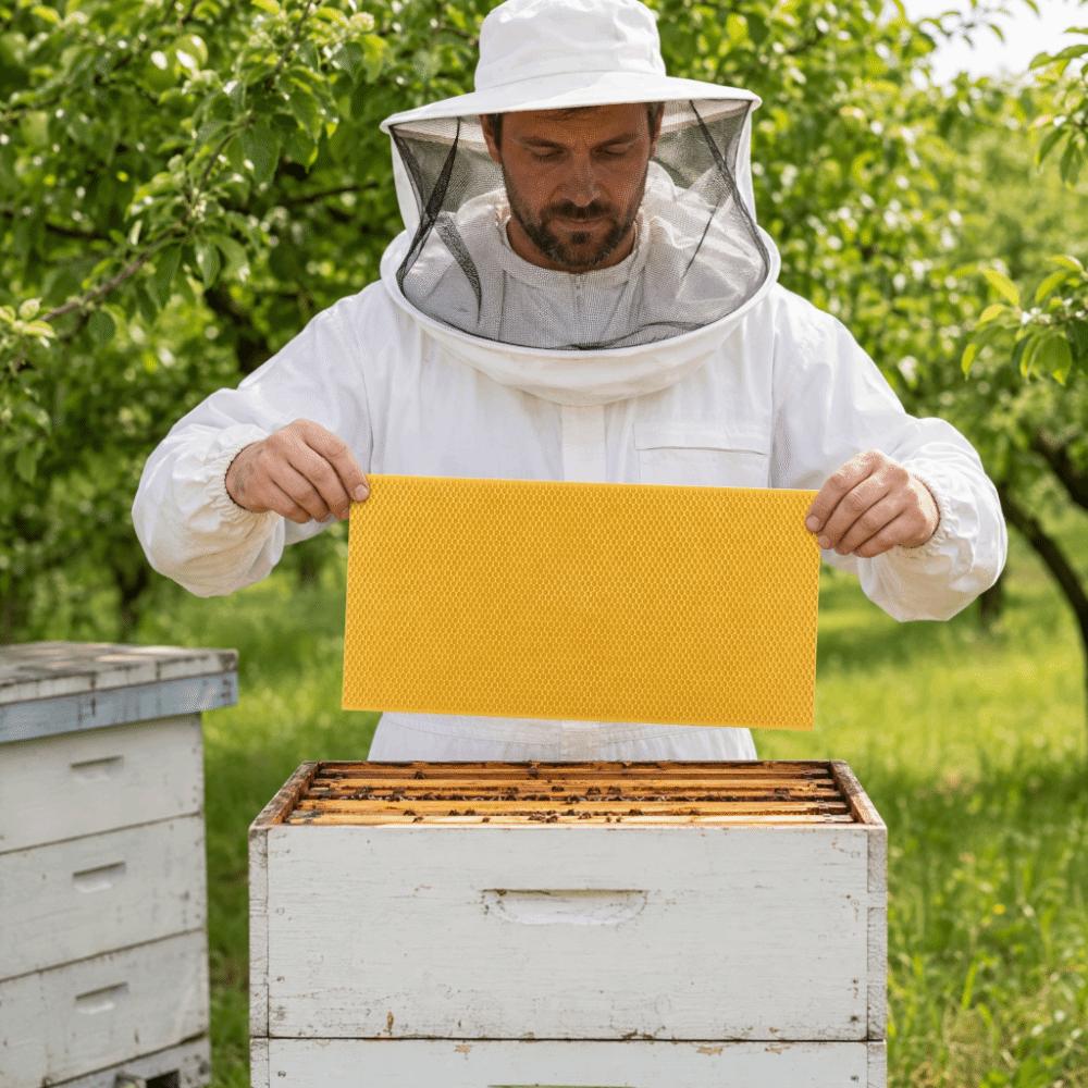 Черный Цвет Рамка для Улья Нетоксичный Инструмент для Пчеловодства Прочная Рамка для Улья Использование Пчеловодом