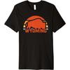Ретро футболка Wyoming Bison Premium
