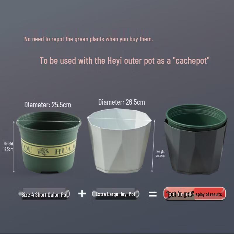 Yingtang Self-Watering Planter