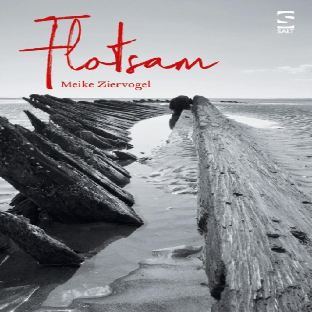 Flotsam by Meike Ziervogel Paperback Book 9781784631789