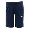 Puma Шорты Zqj 658608 06 Puma Team Goal Casual Short