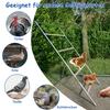 Large Perch for Chicken Coop – Perch for Chickens, Fun Chicken Toy, Chicken Coop Accessory
