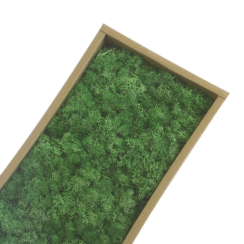 Preserved Flower & Moss Wall Decoration Kit: Flower Gift Box Materials