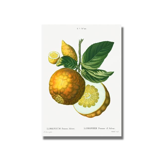 Nordic Kitchen Decor Canvas Painting Fruit Vegetables Pictures On The Wall Orange Art Posters for Home Design No Frame