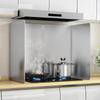 Zhaoran Stainless Steel Kitchen Oil Splatter Guard