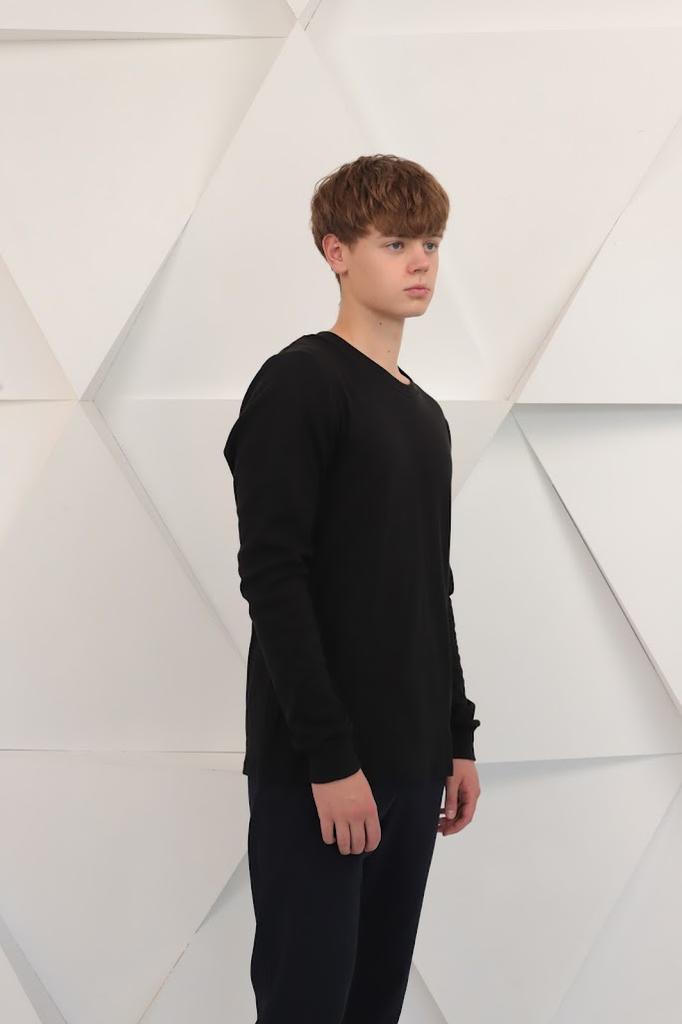 Пуловер (Мужской) Любой сезон 8631-015 HC