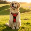 Шлейка для собак против рывков, мягкая шлейка для собак со ступенчатым дизайном, шлейка для контроля без рывков с регулируемыми ремнями для собак всех размеров