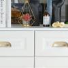 Single hole Cabinet Door Pulls Zinc Zinc Zinc Alloy Dresser Knobs Durable Shell Pull Handles  Kitchen