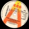 7inch Record PETER SHELLEY - Baby It Feels So Right / Some Other SCBS7475 CBS 1979 UK Pop Used