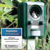 Solar Powered Ultrasonic Animal Repellent Device with Flash Strobe Light for Cats Dogs and Martens