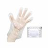 Interior Cleaner X 2 1 Disposable Glove for Dishwashers N-P300 (150g Bags) +