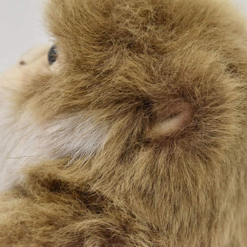 BH6319 HANSA Обезьяна 15