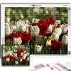 5D Diamond Painting Full Diamond Flowers Tulips Diamond Painting Handmade Diy Diamond Mosaic Painting Home Decoration