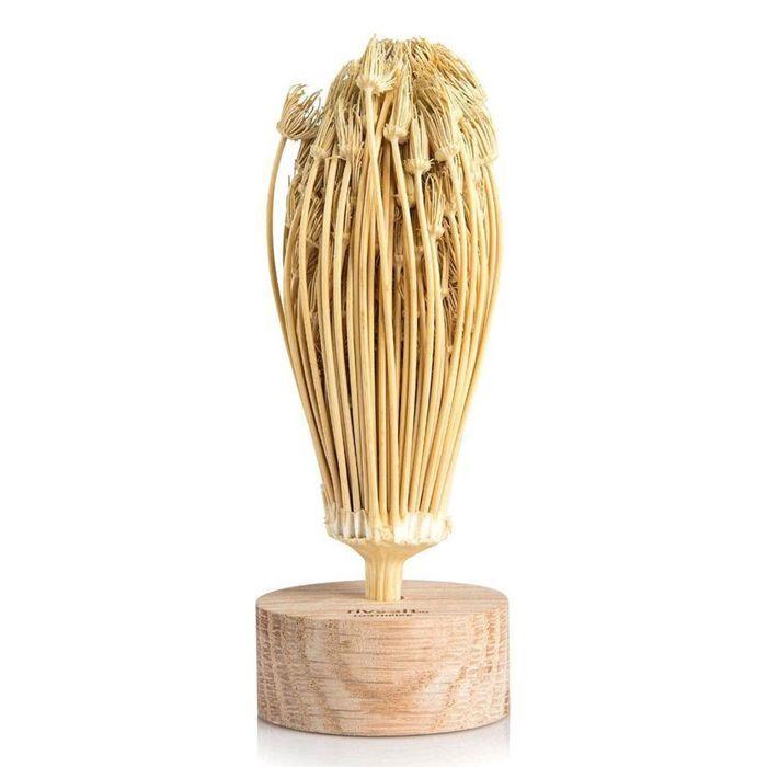 Cure-dents naturels - GENERIQUE - Beige - Fleurs séchées - Pour adultes - Élégants et originaux