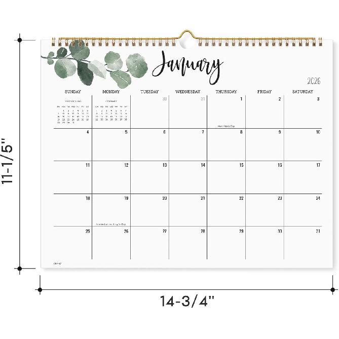 2026 Wall Calendar, Cabbrix Monthly Wall Calendar 2026 Runs from January 2026 to December 2026, Wirebound,15 x 12 Inches