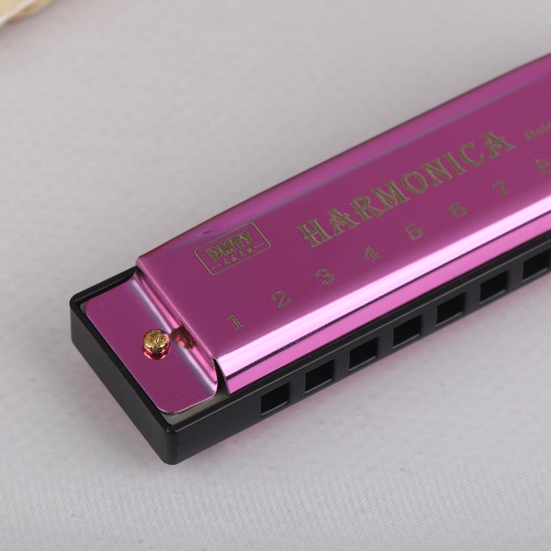 Harmonica Key Of C 10 Hole Diatonic Harmonica C With Case For Beginner Students Kids Gift Blues With Case
