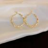 Крючок Пирсинг Круглые Серьги-Кольца Украшения Для Ушей Аксессуары Круглые Серьги Женские Подарки