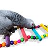 Colorful Wooden Parrot Ladder 8/10/12 Step Ladders Bird Perch Stand Toy  Bird Cage Decoration
