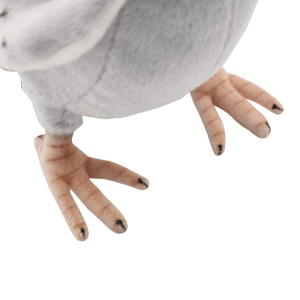 BH6299 HANSA Pigeon 29