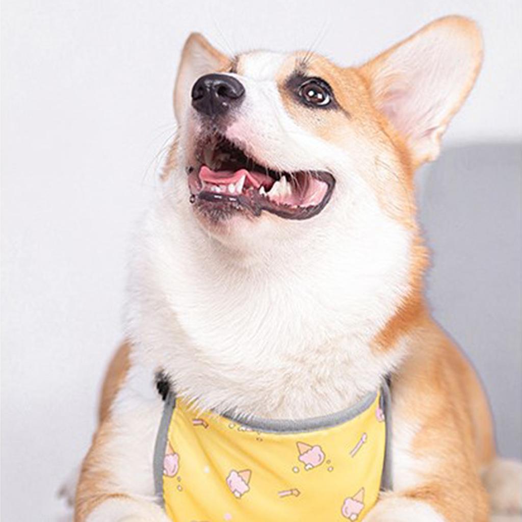 Теплый жилет для живота питомца Водонепроницаемый Защита от холода и влаги Чехол-протектор для живота собаки Шлейка для корги короткошерстного