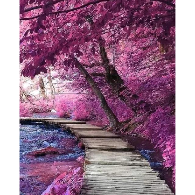 40x50 см краска по номерам розовое дерево пейзаж DIY картина по номерам вишни ручная роспись уникальный подарок домашний декор