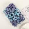 Preserved Hydrangea DIY Material Pack: Gradient Flowers & Face Stickers for Weddings, Shoes, Glass Covers, Team Building, Floral Art.