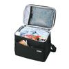 Thermos Soft Cooler 5L All Black Insulated Foldable and Box Type ALB Bag, 5-Layer Insulation, Compact, Water-Repellent Fabric, RFD-0051