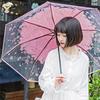Transparent Umbrella,Fashionable Folding umbrella,Wind and Rain Resistant Women's Automatic umbrella,Travel, Play, Take Photos