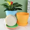 2Pcs Flower Pot with Saucer Large Mouth PP Drainage Holes Plant Container for Balcony