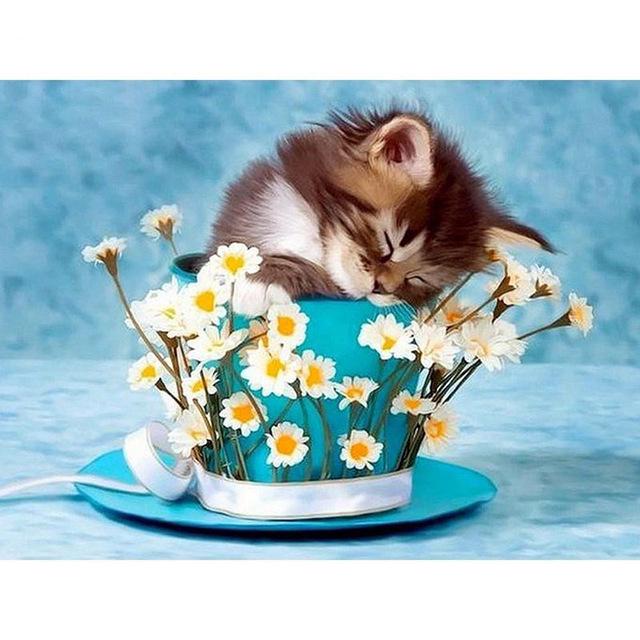 5D DIY Алмазная картина Вышивка крестом Кошка Животное Алмазная вышивка Полный круглый дрель Мозаика Стразы