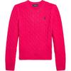 Polo Logo Embroidered Crew Neck Long Sleeve Sweater Women Sweater 211891640-025