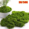 1Set For Potted Plants Green Moss Flower Moss Fake Grass Durable Simulation Moss